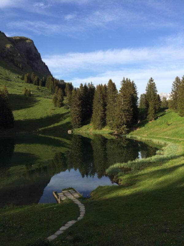 Sporthotel Victoria Gstaad Exteriér fotografie